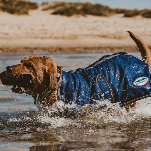Weatherbeeta - Dog Comfitec Premier Free Parka Delux Dog Coat - Dark Blue